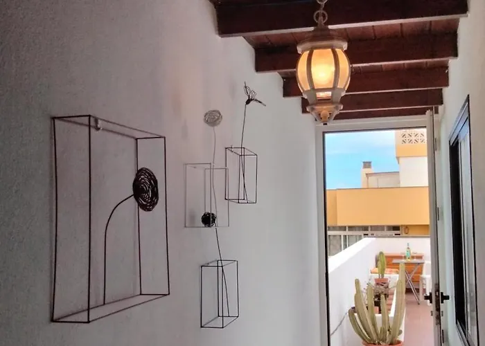 Mi De Invitados Kemping